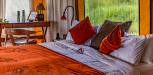 Best New Safari Lodges and Camps to Experience in Africa