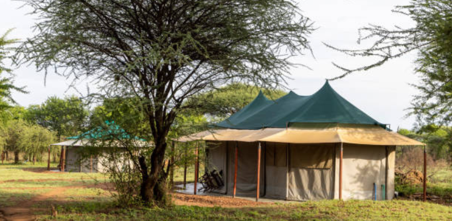Luxury Safari Lodges