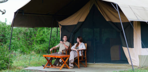 What are the Luxury Safari Lodges in Tanzania