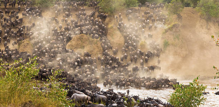 the Great Migration